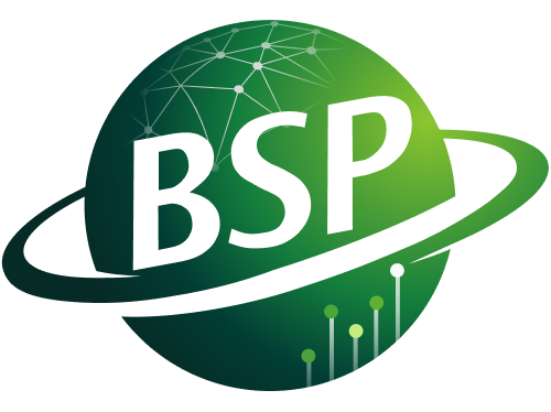 BSP Software Services